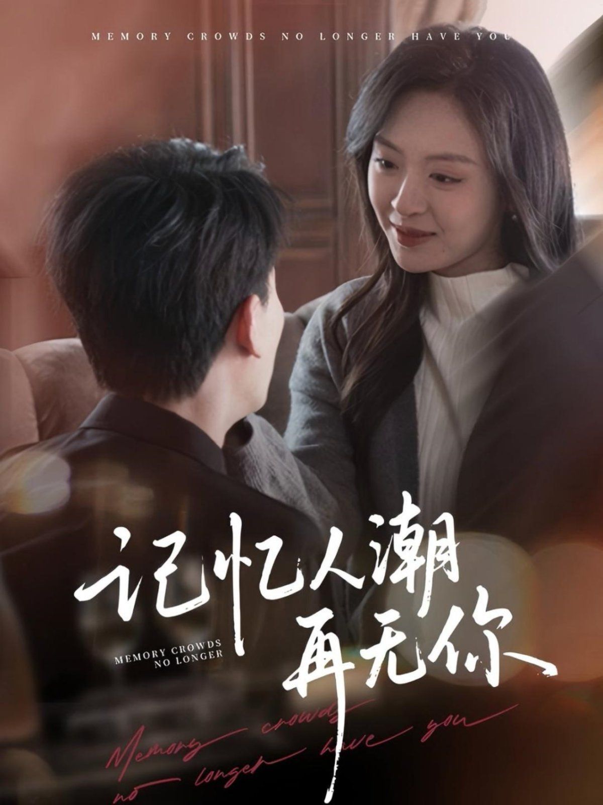 记忆人潮再无你 第31-60集