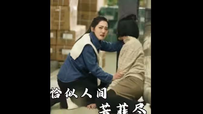 恰似人间芳菲尽 第61-68集完结(大结局)