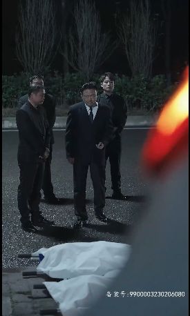 反败为胜 第21-40集