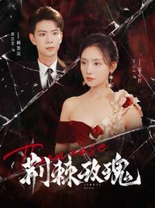 荆棘玫瑰 第21-40集