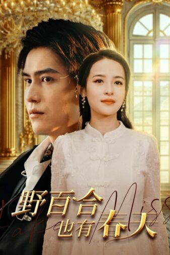 野百合也有春天 第21-40集