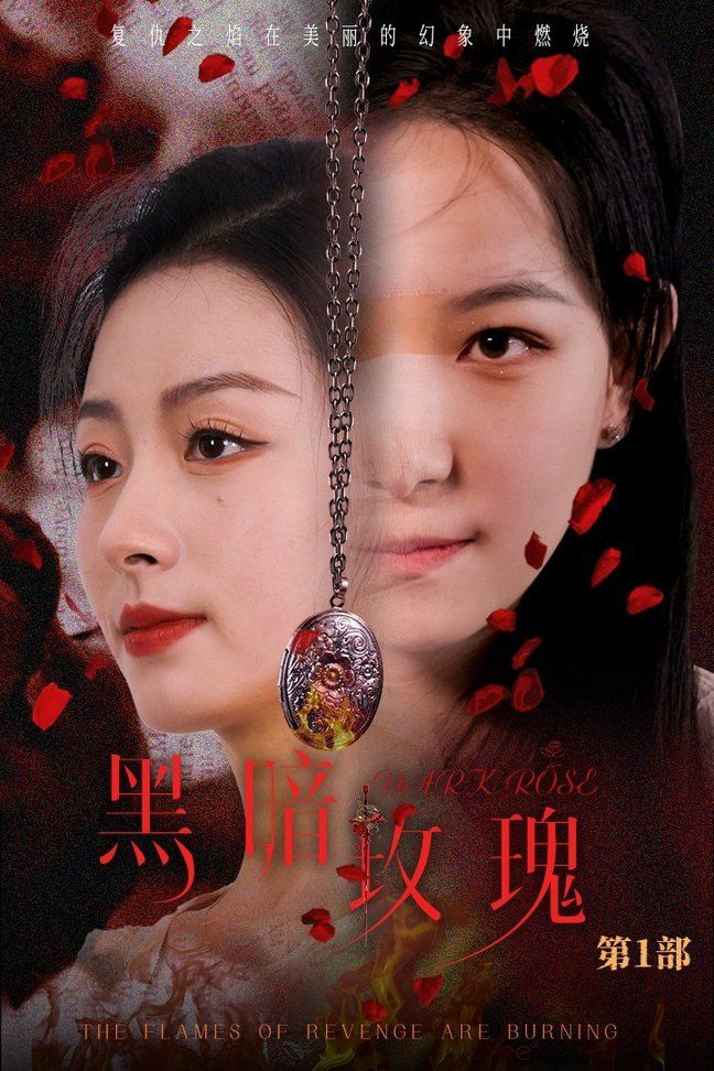 黑暗玫瑰 第41-60集