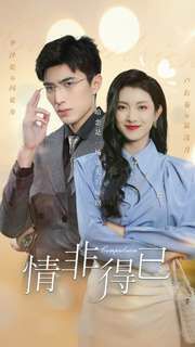 情非得已 第02集