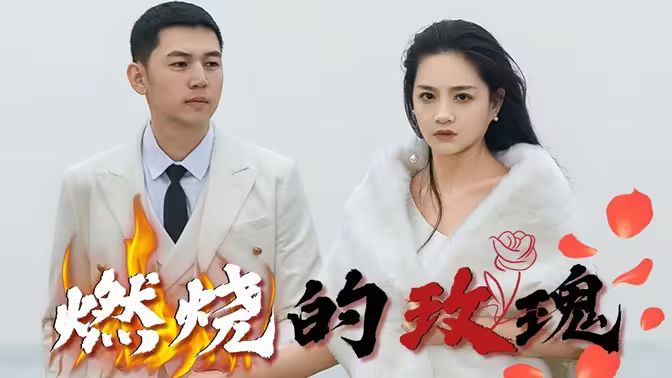 燃烧的玫瑰 第1-30集