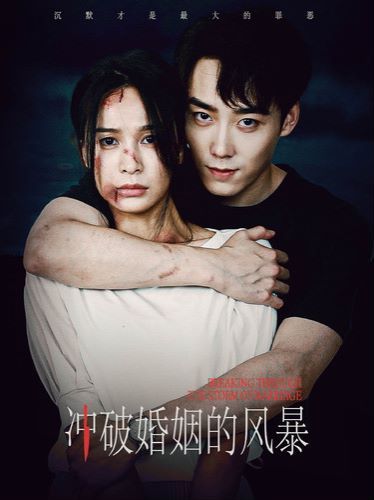 冲破婚姻的风暴 第05集