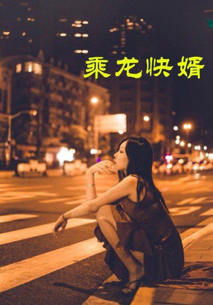 乘龙快婿 全局完结(大结局)