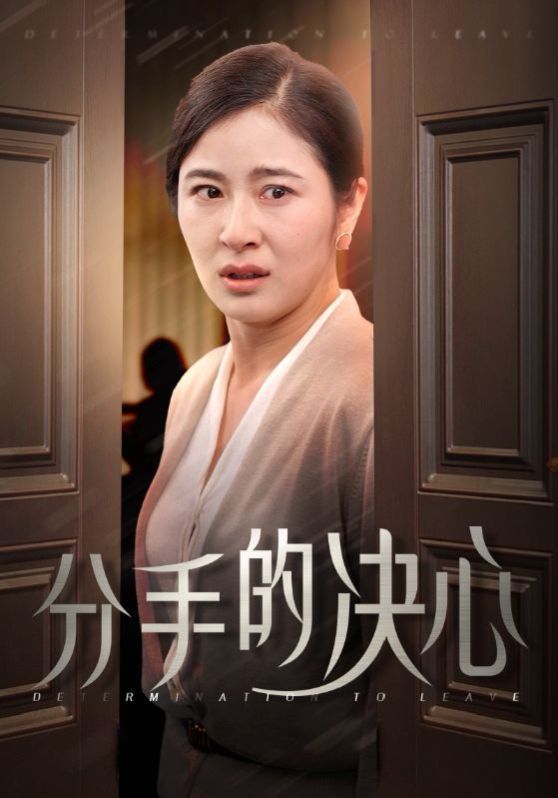 分手的决心 第21-39集完结(大结局)