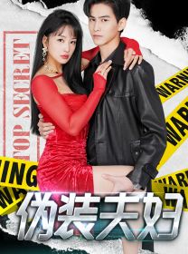 伪装夫妇 第41-71集完结(大结局)