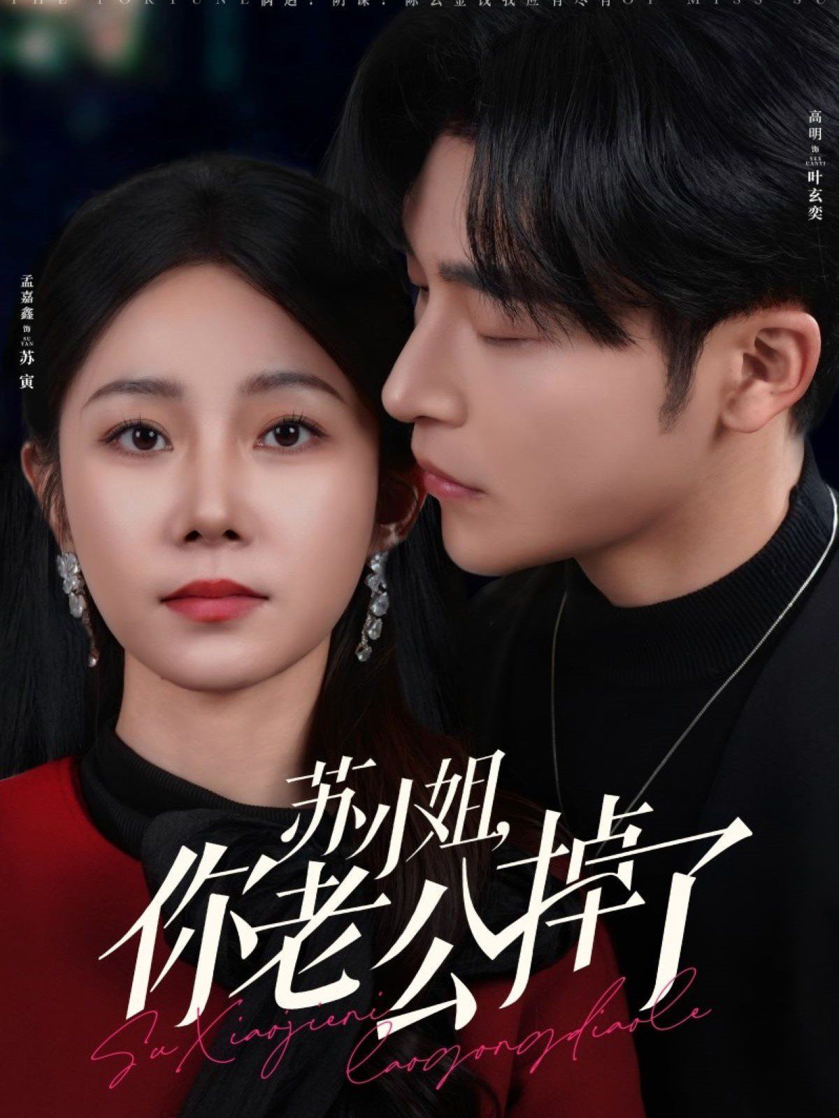 苏小姐你老公掉了 第02集