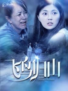 飞鸟归山 第12集