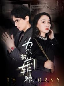 为你披荆斩棘 第21-40集