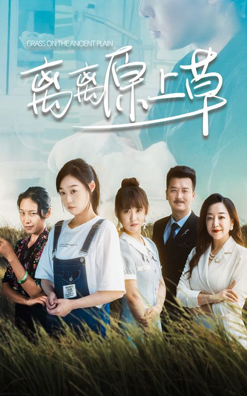 离离原上草 第21-40集