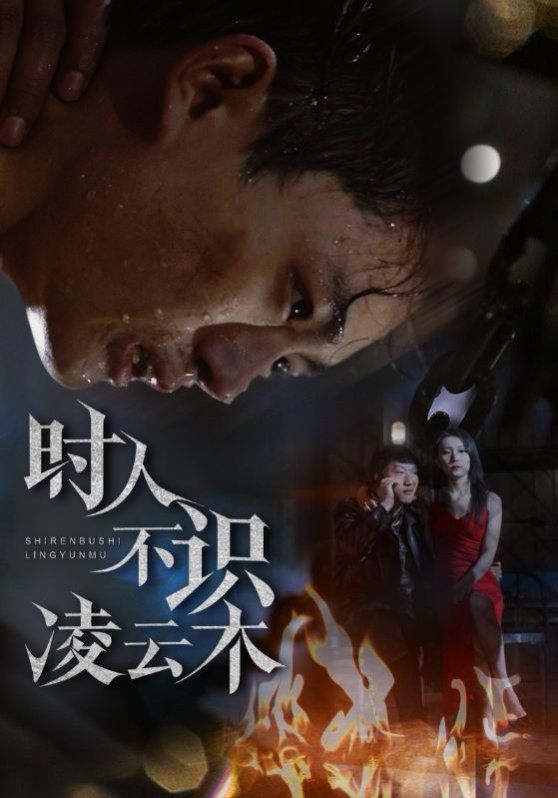 时人不识凌云木 第04集