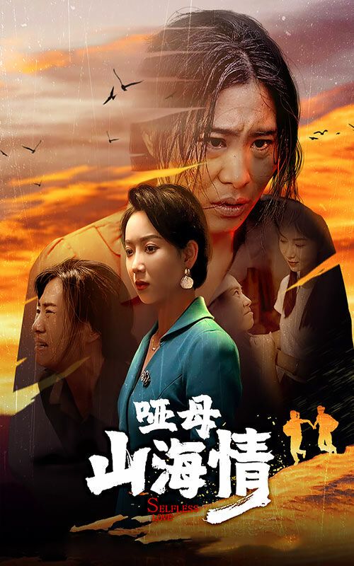 哑母山海情 第1-20集