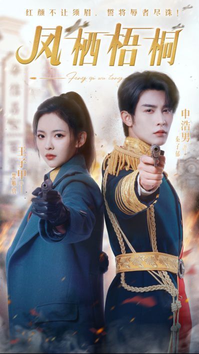 凤栖梧桐 第41-68集完结(大结局)