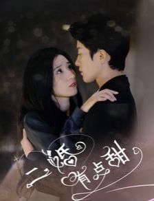 二婚有点甜 第61-80集完结(大结局)