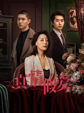 真情假爱 第05集