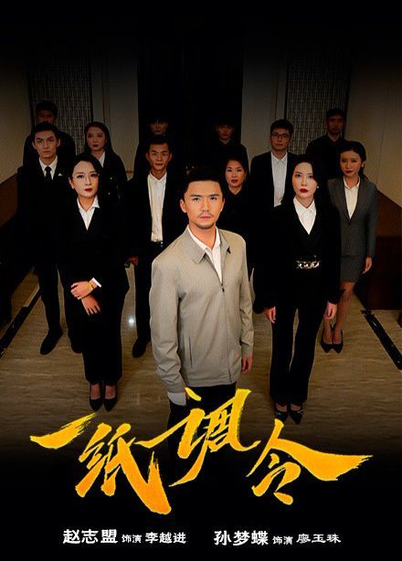 一纸调令 第21-40集