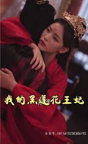 我的黑莲花王妃 第04集