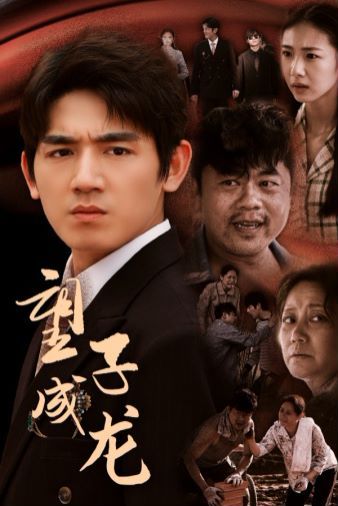 望子成龙 第21-40集