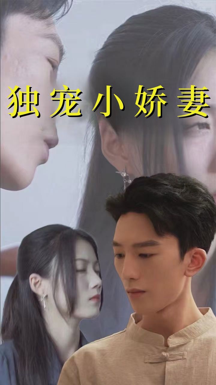 独宠小娇妻 第61-80集