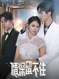 情深留不住 第21-40集