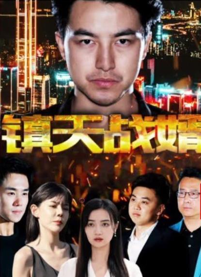 镇天战婿 第101集