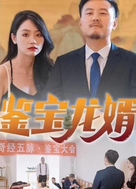 鉴宝龙婿 第46集