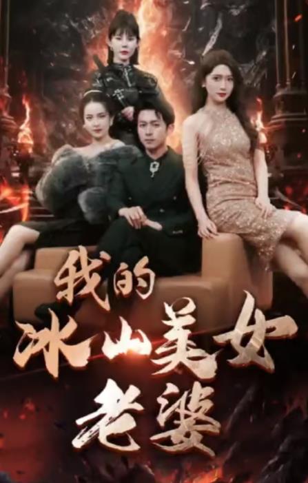 我的冰山美女老婆 第03集