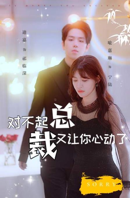 对不起总裁又让你心动了 第12集