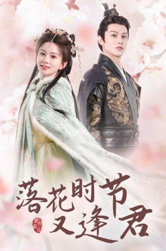 落花时节又逢君 第41集