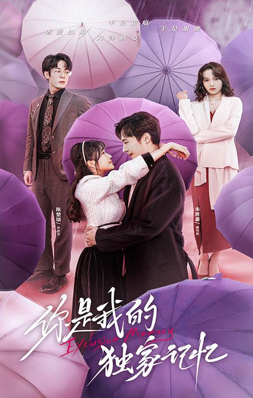 你是我的独家记忆 第53集
