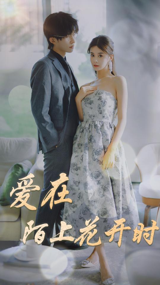 爱在陌上花开时 第67集