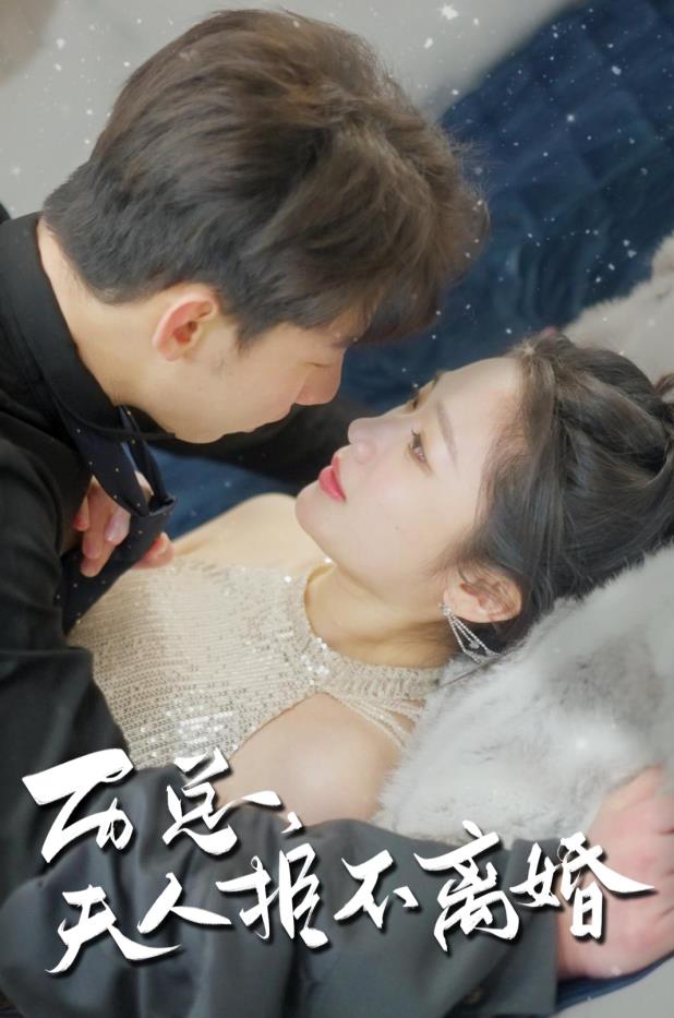 历总，夫人拒不离婚 第04集