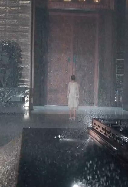 一见倾心2024 第51集