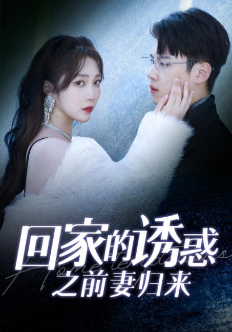 回家的诱惑之前妻归来 第12集