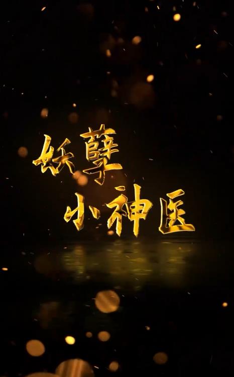 回村小伙是侠医 第53集