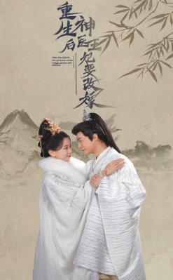 重生后神医王妃要改嫁 第02集