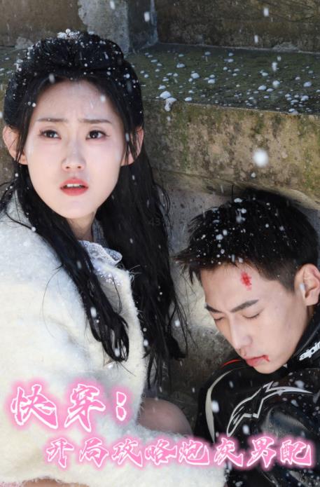 快穿：开局攻略炮灰男配 第09集