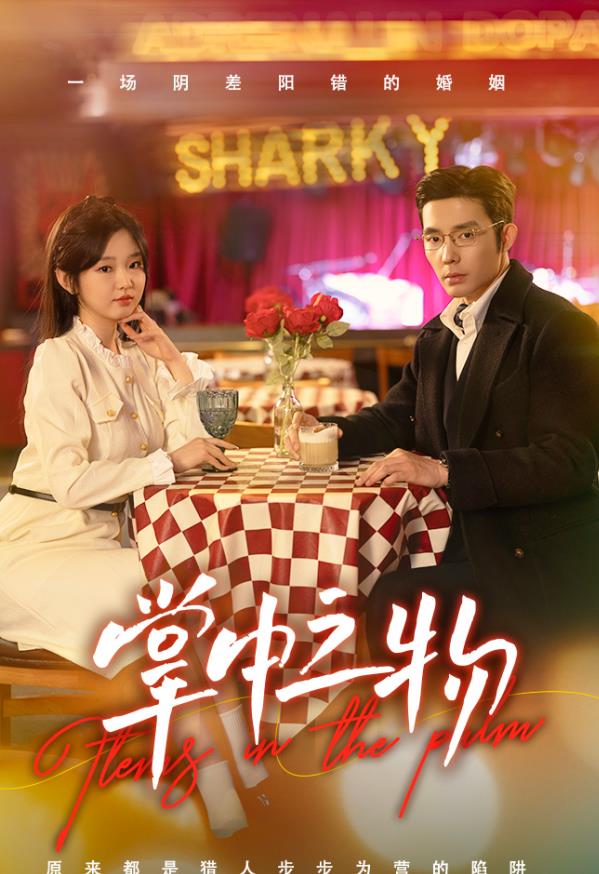 掌中之物 第21-40集