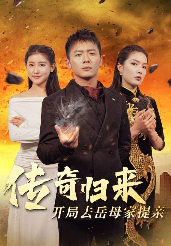 传奇归来开局去岳母家提亲 第02集