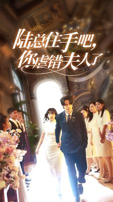 陆总住手吧，你虐错夫人了 第09集