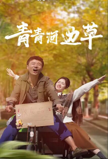 青青河边草2024 第03集