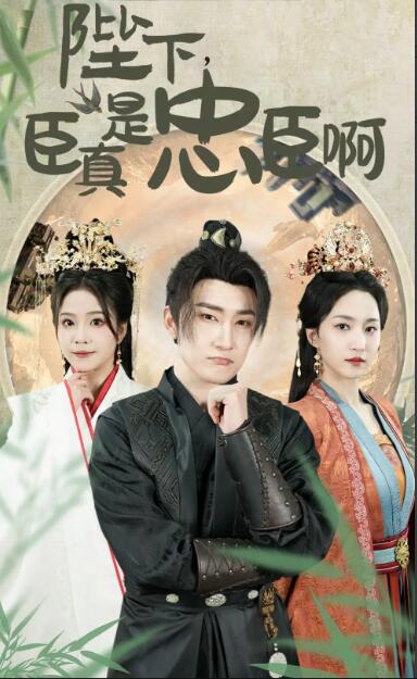 陛下，臣真是忠臣啊 第79集