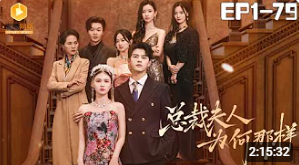 总裁夫人为何那样 合集版