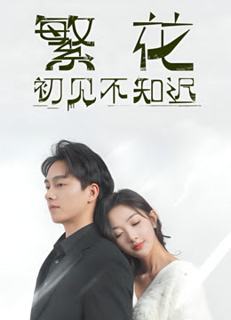 繁花初见不知迟 第33集