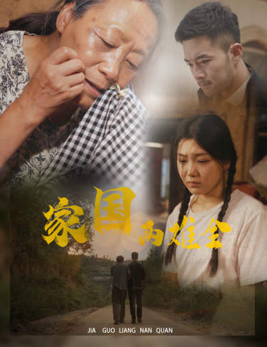 家国两难全 第04集