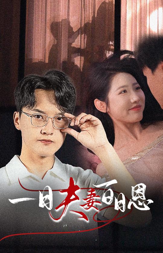 一日夫妻百日恩 第03集